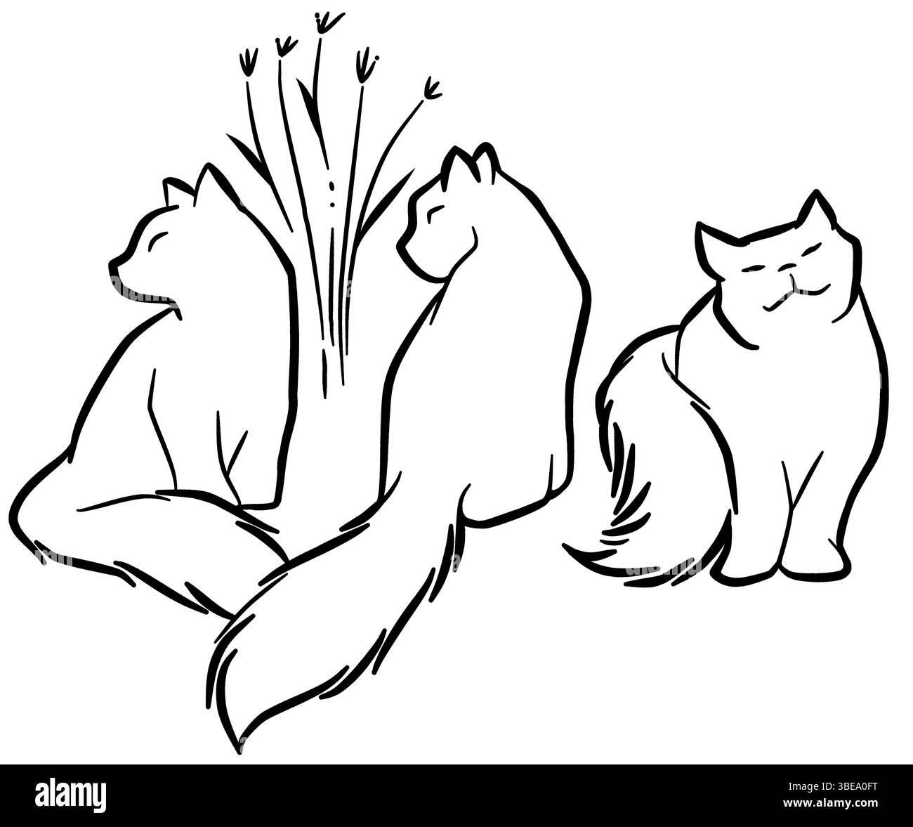 Trait dessin caractère de trois chats, trait noir trait tracé sur un fond transparent Banque D'Images