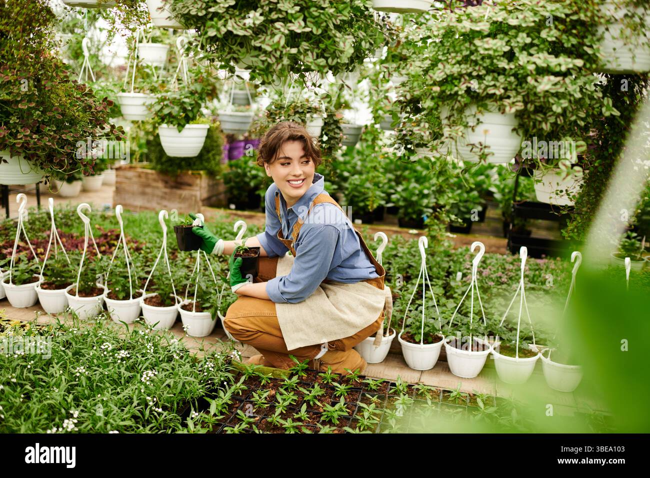 La jeune femme tend à ses plantes florissantes dans une serre lumineuse remplie de verdure. Banque D'Images