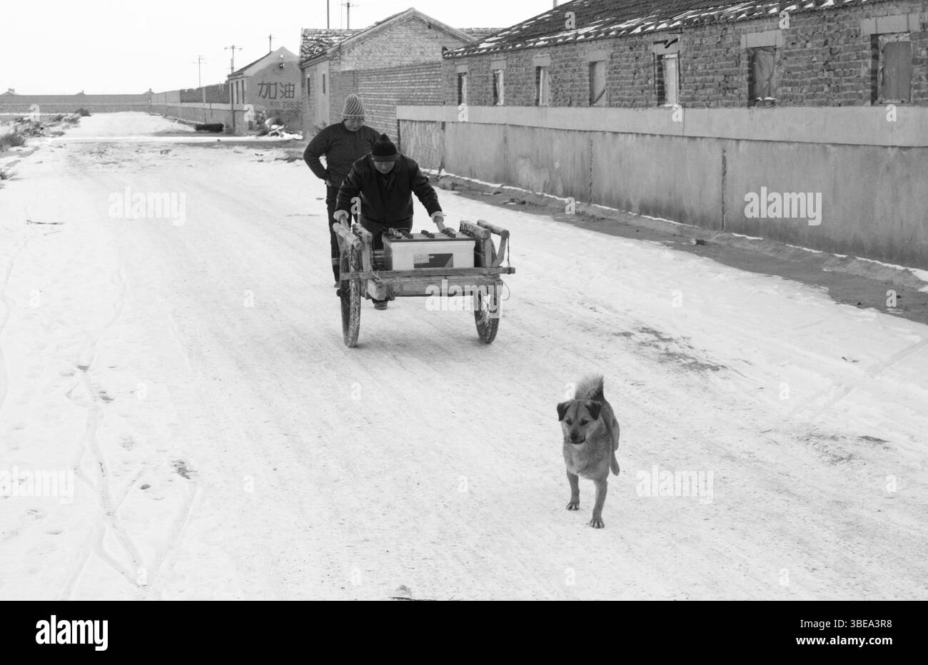 Couple âgé et chien avec chariot de batterie au plomb-acide dans le port nord enneigé, Chine, début des années 2010 Banque D'Images Couple âgé et chien avec chariot de batterie au plomb-acide dans le port nord enneigé, Chine, début des années 2010 Banque D'Images