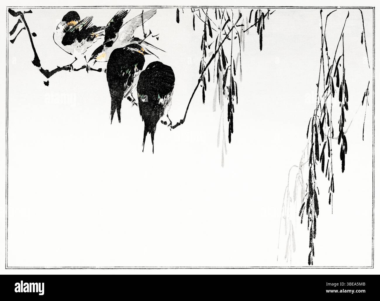 Illustration de magpie de l'ère Meiji restaurée numériquement par Watanabe Seitei de Seitei Kacho Gafu (1890), élégante scène japonaise d'oiseaux Kacho-GA avec intemporelle Banque D'Images