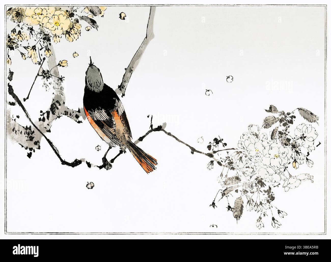 Illustration antique d'une hirondelle japonaise perchée par Watanabe Seitei, 1890, de Seitei Kacho Gafu - art d'oiseau Kacho-GA restauré avec grâce naturelle Banque D'Images