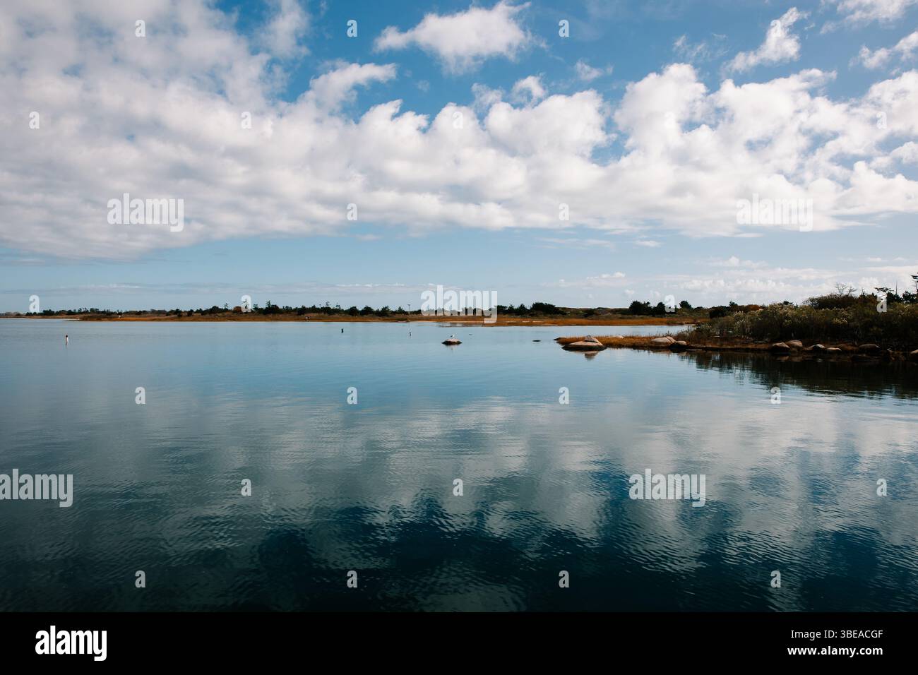 Reflets du ciel et des nuages dans l'étang Banque D'Images
