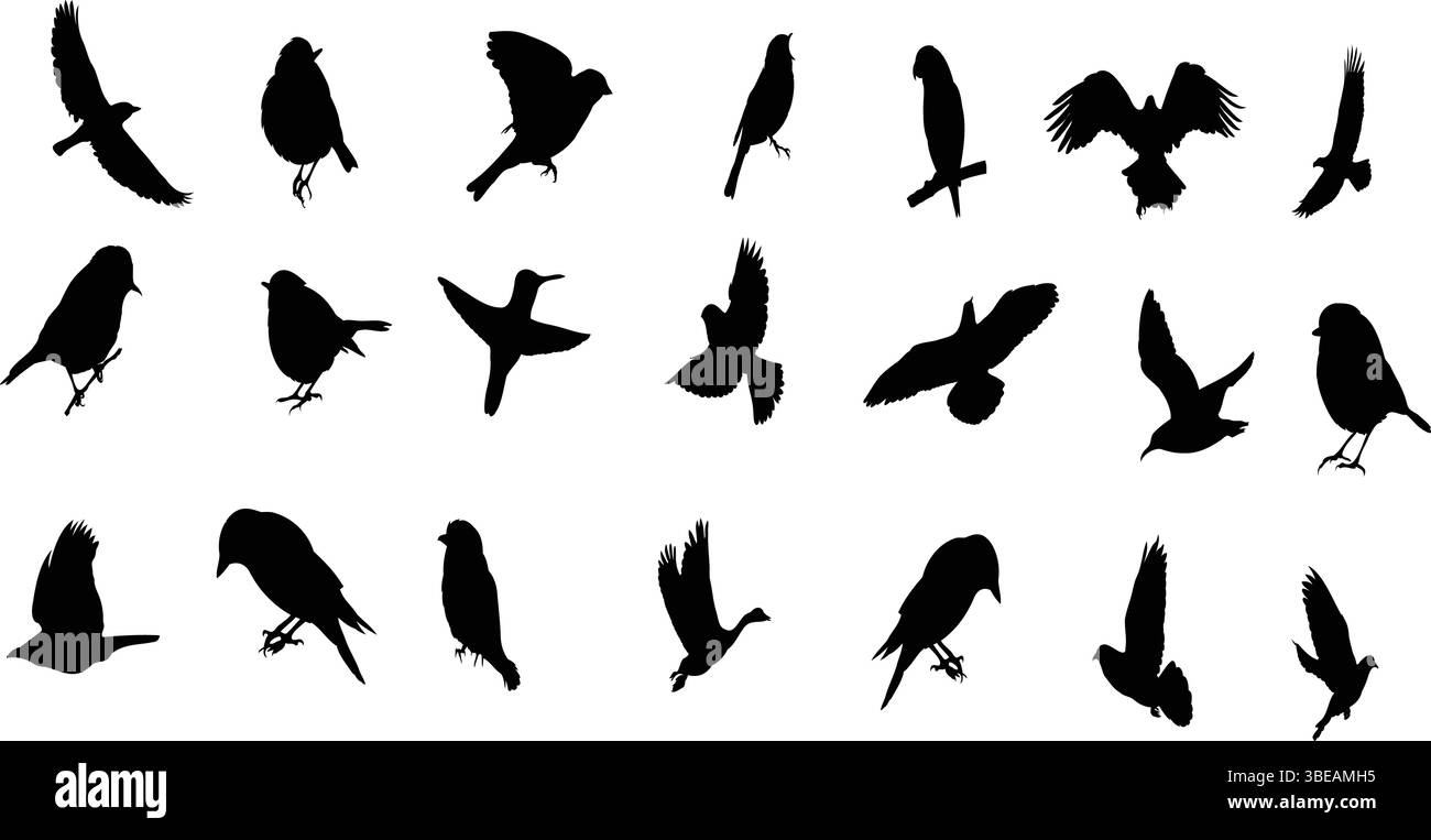 Bird Silhouette Vector Tattoo Design Set – Collection oiseaux volants et perchants - vecteur volant aigle, icône songbird, oiseau perroquet, hibou, canard, moineau, Robin Illustration de Vecteur Bird Silhouette Vector Tattoo Design Set – Collection oiseaux volants et perchants - vecteur volant aigle, icône songbird, oiseau perroquet, hibou, canard, moineau, Robin Illustration de Vecteur
