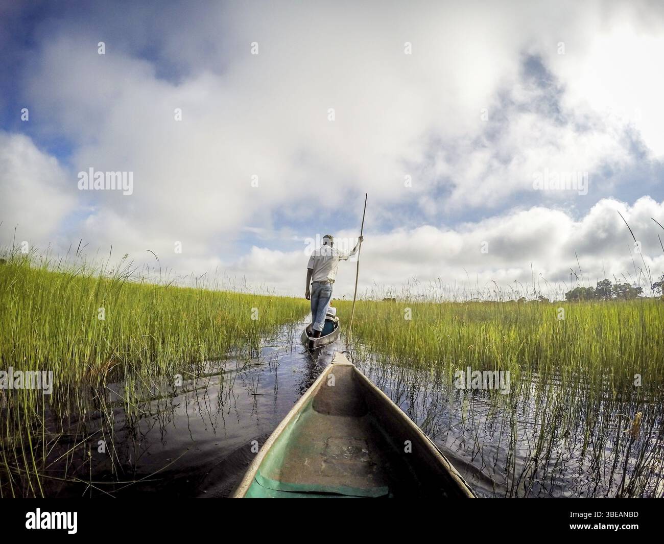 Excursion en canoë à Mokoro sur le delta de l'Okavango, Botswana, Afrique Banque D'Images