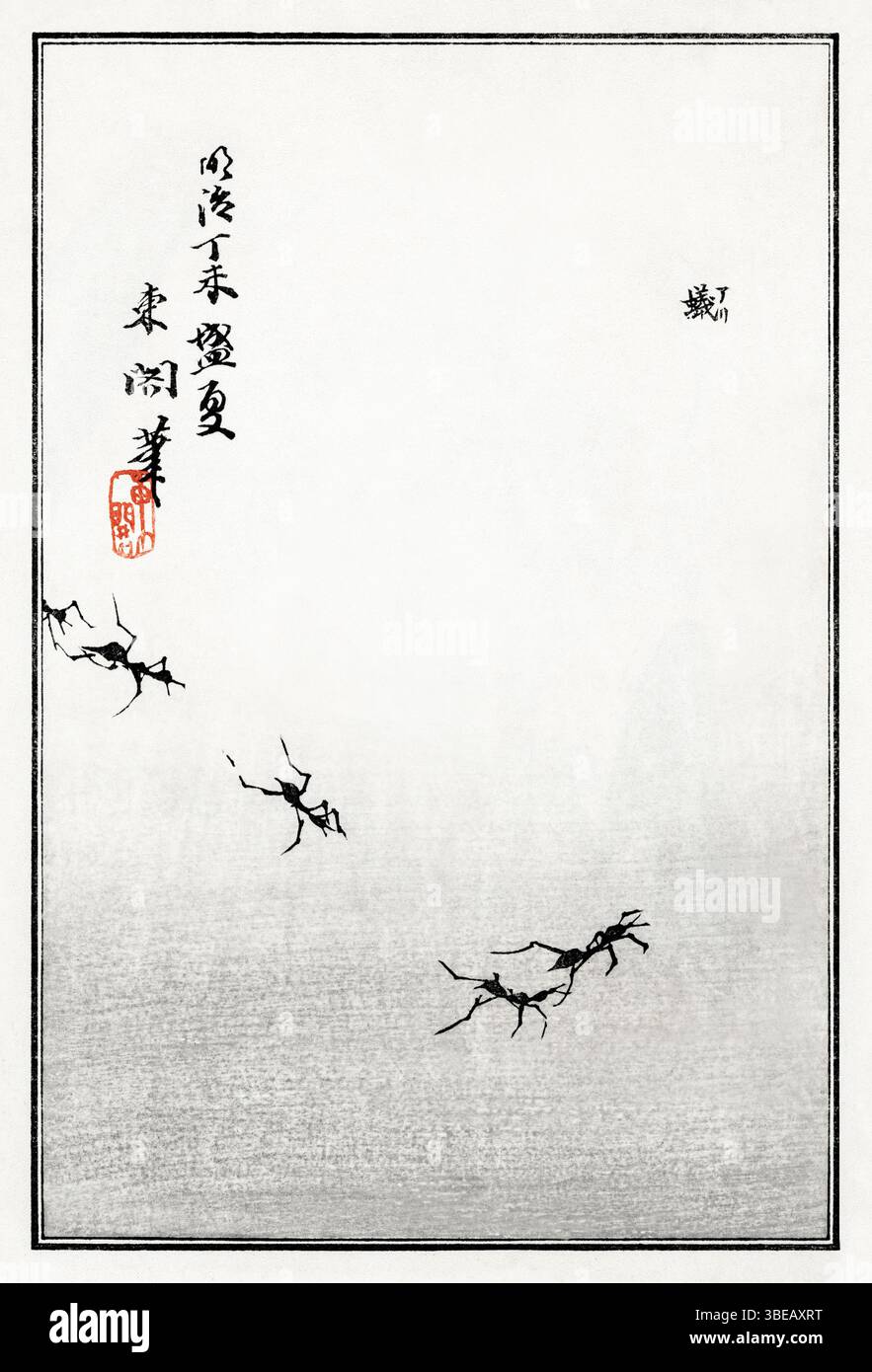 Illustration restaurée numériquement en 1910 de fourmis marchantes par Morimoto Toko, de Churui Gafu - une rare étude japonaise de kacho-GA des insectes dans la c naturaliste Banque D'Images