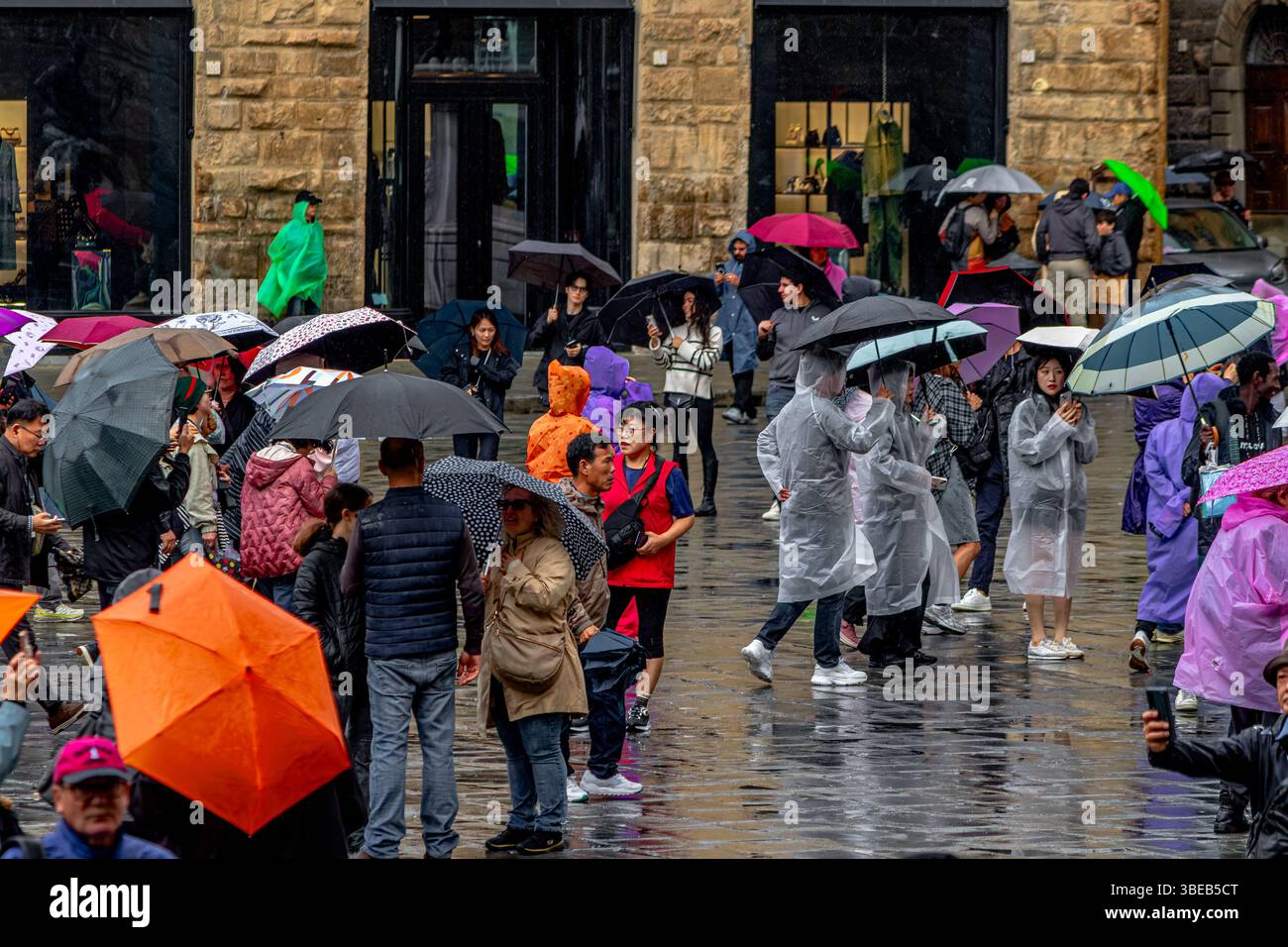 Foules de personnes qui s'abritent sous des parapluies sous de fortes pluies sur la Piazza della Signoria à Florence, Italie Banque D'Images