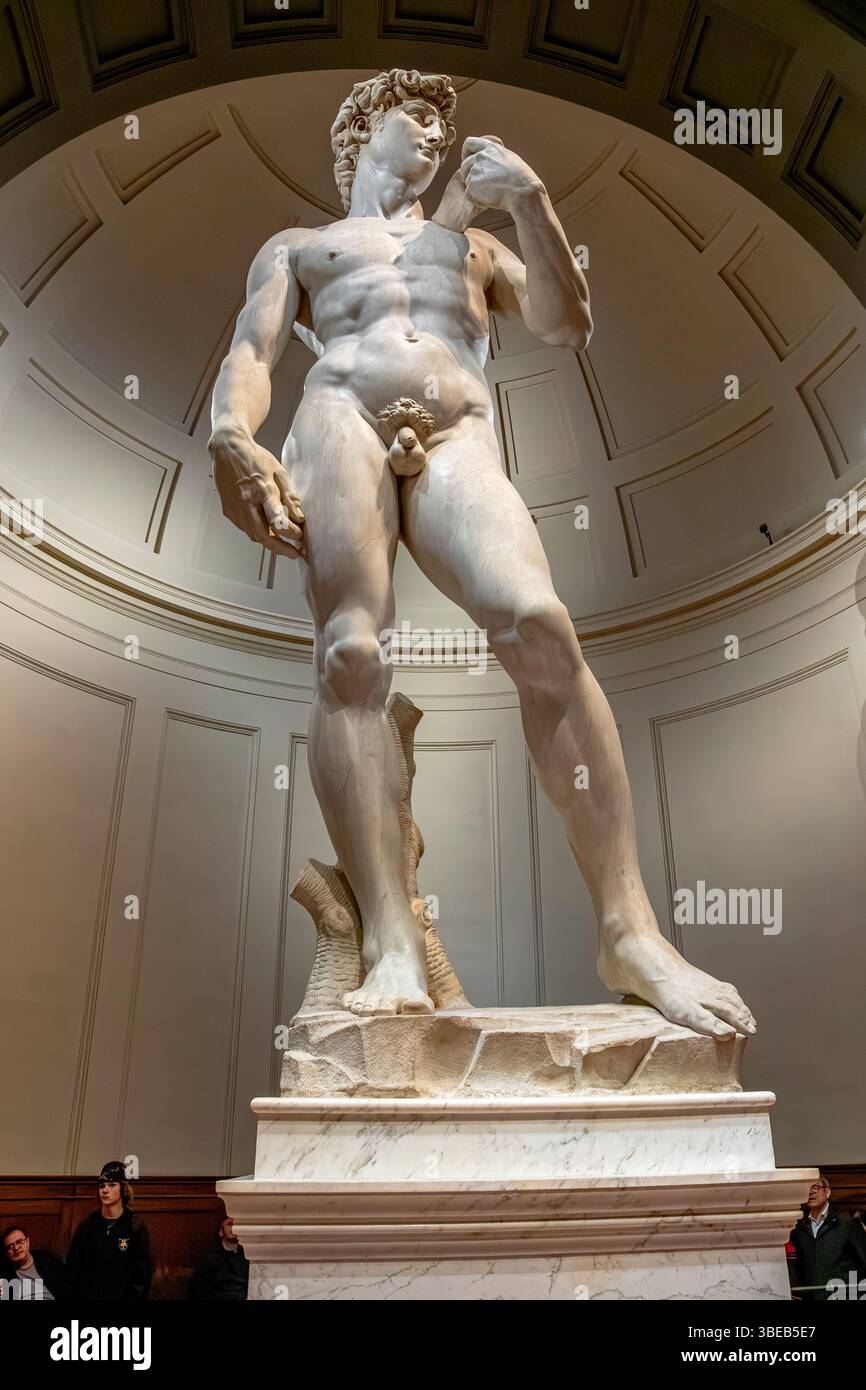 David de Michel-Ange, un chef-d'œuvre de la sculpture de la Renaissance italienne en marbre exposé à la Galleria dell'Accademia di Firenze, Florence, Italie Banque D'Images