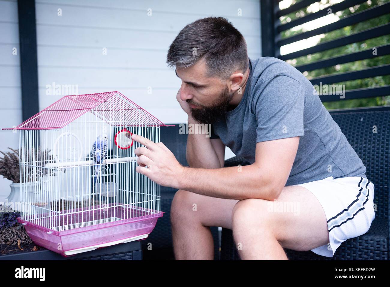 Un homme barbu est assis sur des meubles de patio, observant attentivement un petit perroquet à l'intérieur d'une cage rose. Il semble soucieux et préoccupé par sa frite à plumes Banque D'Images