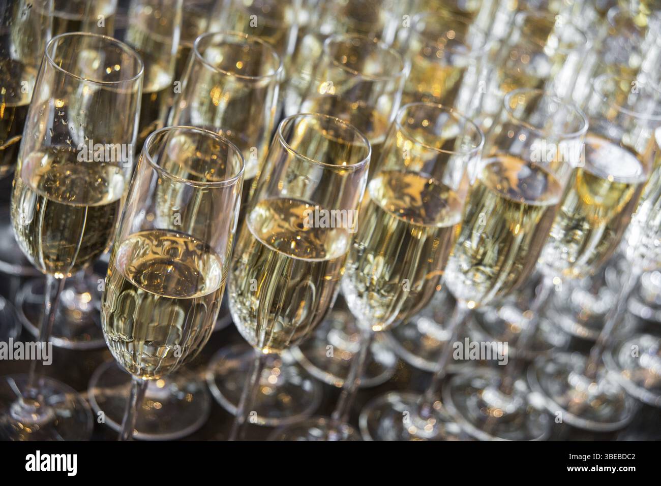 Beaucoup de verres avec champagne se tiennent dans une rangée. verres avec champagne gros plan Banque D'Images