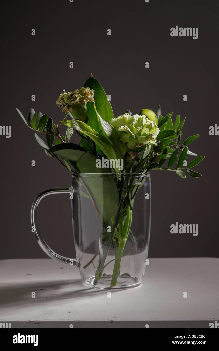 tasse en verre avec plantes vertes Banque D'Images