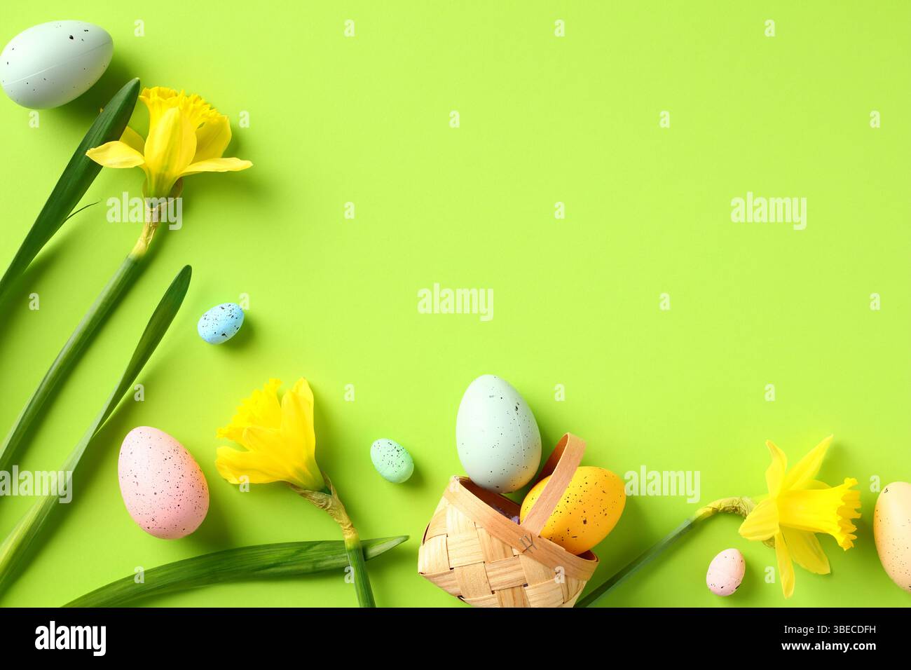 Joyeuses Pâques composition de pose à plat. Oeufs de Pâques colorés et fleurs de jonquille jaunes sur fond vert. Banque D'Images