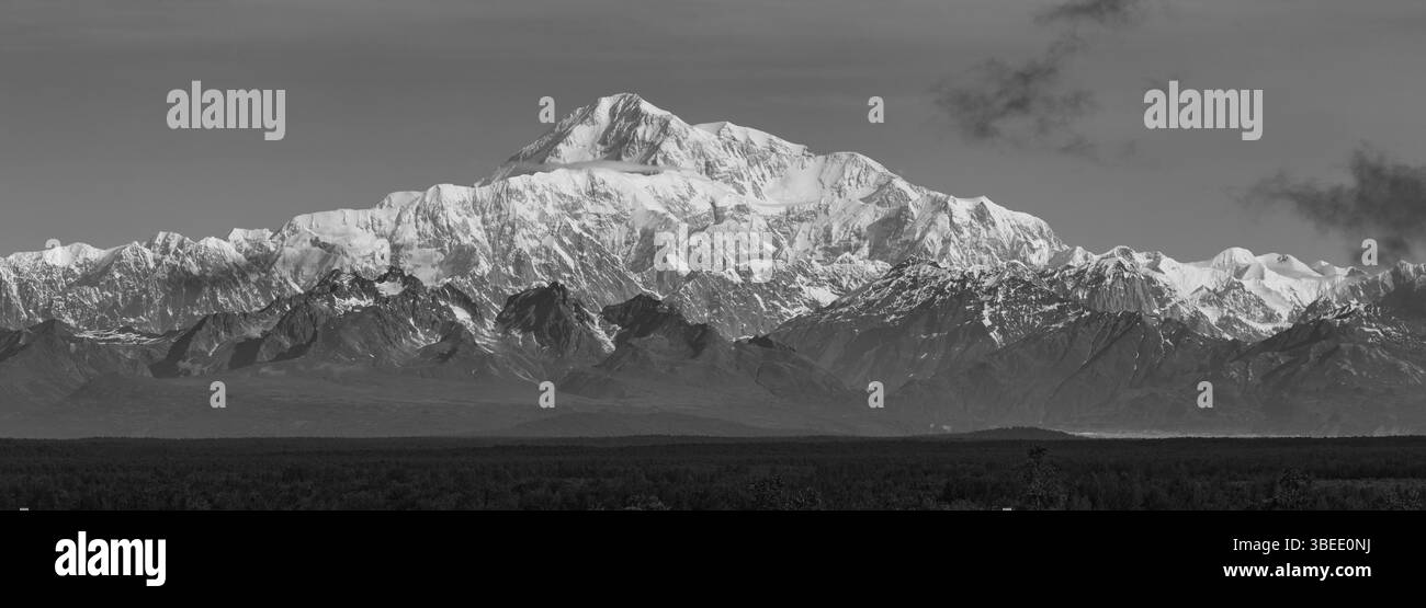 Panorama noir et blanc du Denali (Mt McKinley). Denali, la plus haute montagne d'Amérique du Nord, est située dans les montagnes de l'Alaska en Alaska. Banque D'Images