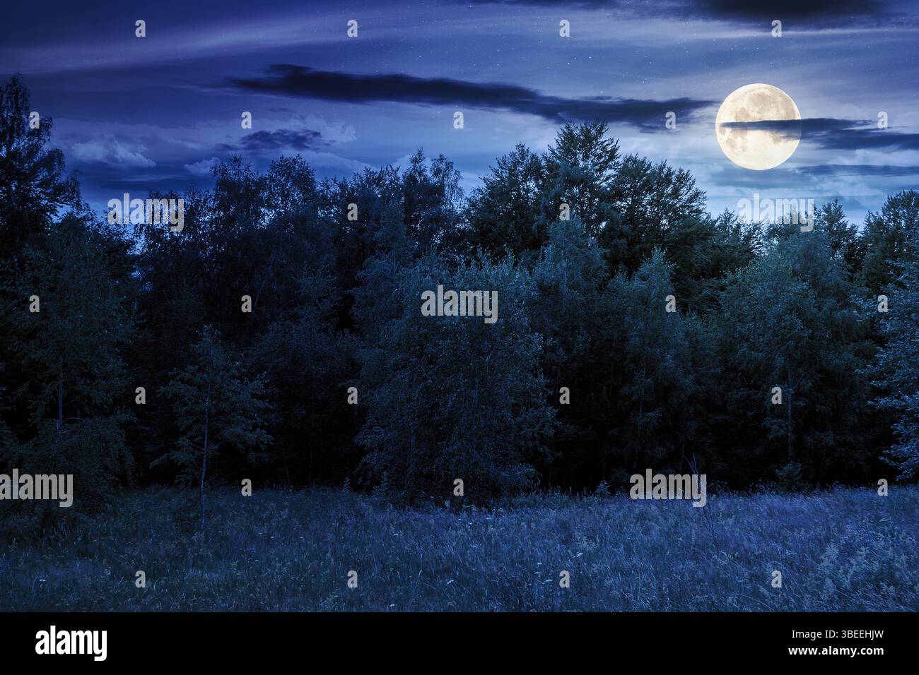 paysage avec forêt sur la colline en été la nuit. vue panoramique sur les pâturages alpins en pleine lune. saison de vacances en pays européensi Banque D'Images paysage avec forêt sur la colline en été la nuit. vue panoramique sur les pâturages alpins en pleine lune. saison de vacances en pays européensi Banque D'Images