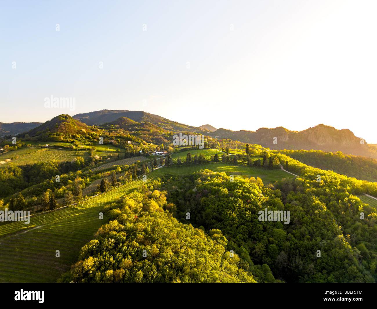 Vue aérienne d'une forêt verdoyante sur une colline en face de la montagne Monte Venda dans les collines Colli Euganei avec le soleil couchant projetant une lumière chaude Banque D'Images
