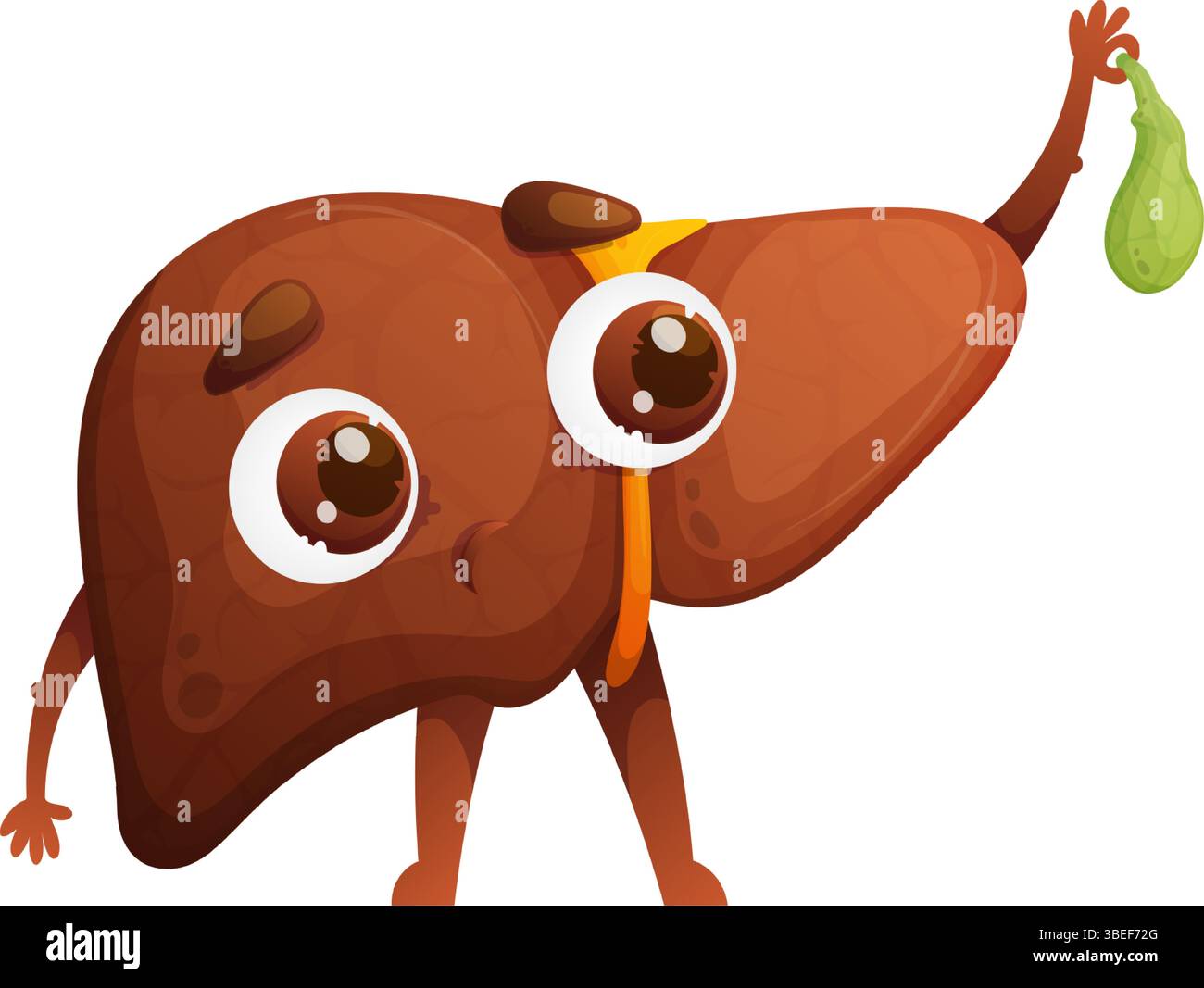 Le personnage de foie de dessin animé tient la vésicule biliaire, concept éducatif d'anatomie humaine. Illustration de Vecteur