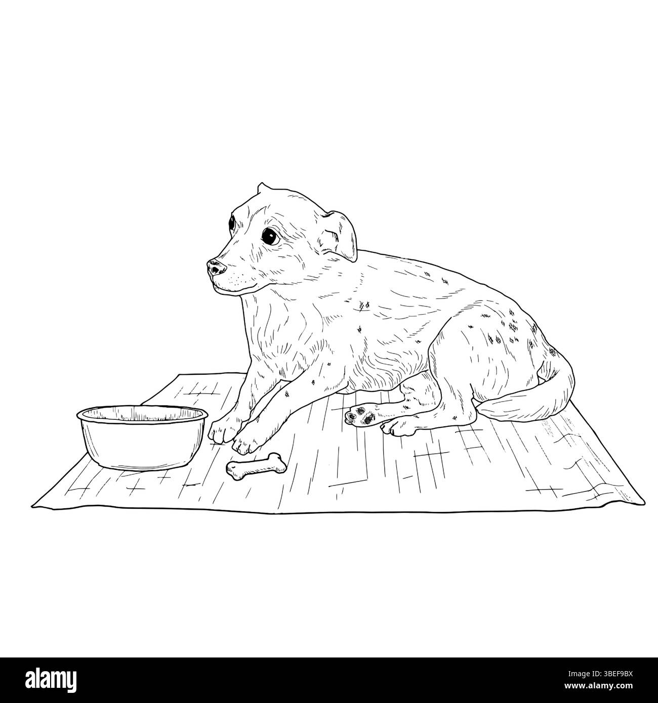 Un petit chien de compagnie est allongé sur un tapis, à côté d'un bol et d'un os, un croquis à l'encre noire et blanche. Illustration vectorielle. Un chien à genoux, un chiot, isolé sur un whi Illustration de Vecteur