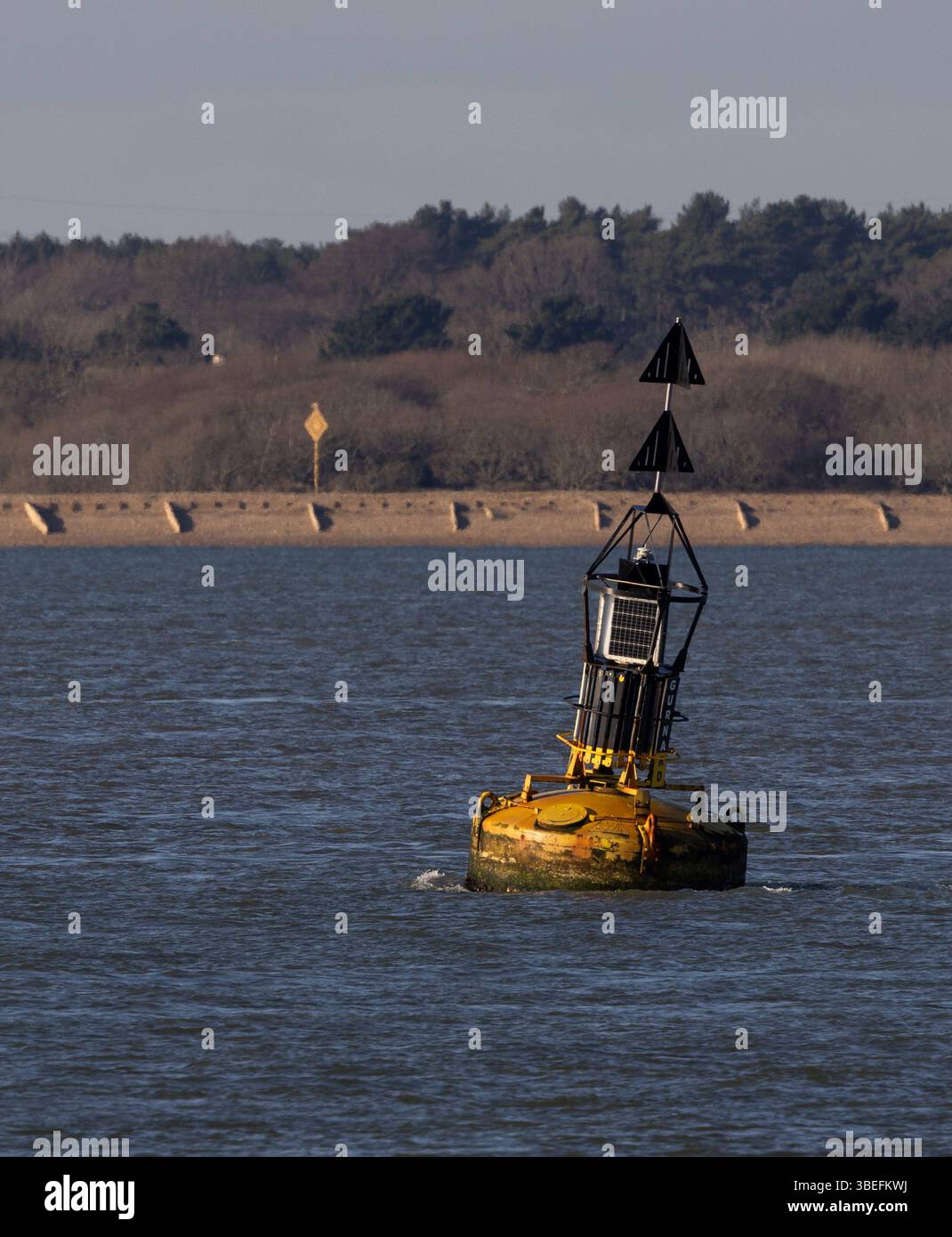 Bouée cardinale jaune dans le Solent, île de Wight, utilisée pour la navigation maritime en toute sécurité, avec le littoral boisé en arrière-plan. Banque D'Images Bouée cardinale jaune dans le Solent, île de Wight, utilisée pour la navigation maritime en toute sécurité, avec le littoral boisé en arrière-plan. Banque D'Images