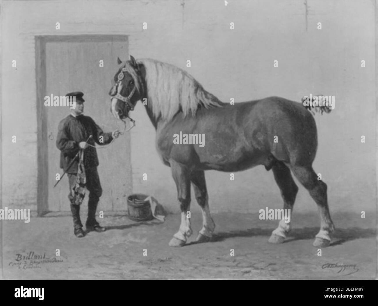 Cette peinture de Charles-Philogène Tschaggeny représente brillant, un étalon de trait belge. Connu pour sa construction musculaire et sa force, le cheval représente la puissance et l'utilité des races de trait dans les milieux agricoles et industriels. Tschaggeny a capturé la grandeur de l'étalon dans un style détaillé et réaliste. Banque D'Images