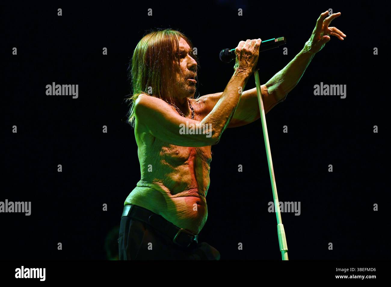 ROYAUME-UNI. 28 mai 2025. LONDRES, ANGLETERRE - MAI 28 : Iggy Pop se produisant à Alexandra Palace le 28 mai 2025 à Londres, Angleterre.Cap/Mar © Mar/Capital Pictures Credit : Capital Pictures/Alamy Live News Banque D'Images