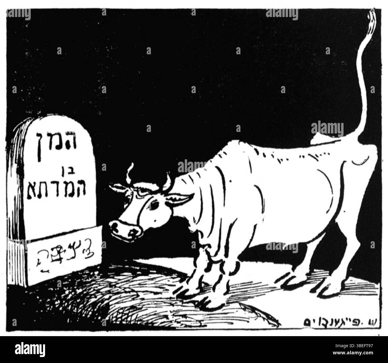 Caricature de Shaye Faygenboym publiée dans Der Mehabel le 6 mars 1936 à Varsovie. La caricature représente une vache debout sur la tombe de Haman, publiée la veille de Pourim. Banque D'Images