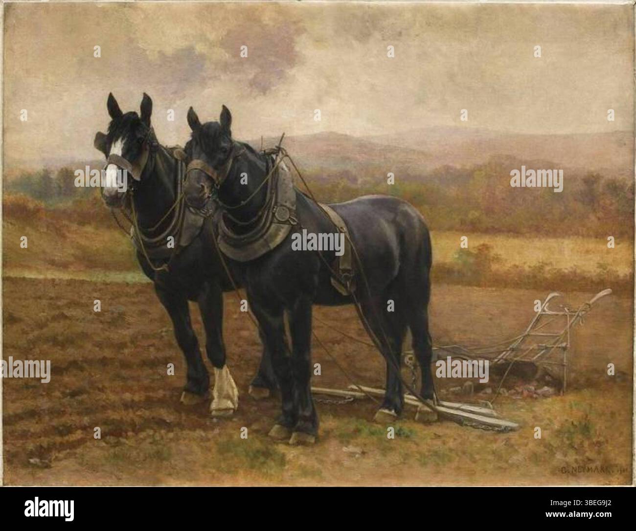 L'huile sur toile de Gustave Neymark de 1920 intitulée chevaux de Labour du Shropshire représente des chevaux de ferme du Shropshire au travail dans la campagne anglaise. Le tableau a été exposé au MUCEM (Marseille), mettant en valeur la force et la grâce de ces chevaux de trait, capturés dans un cadre rural. Banque D'Images
