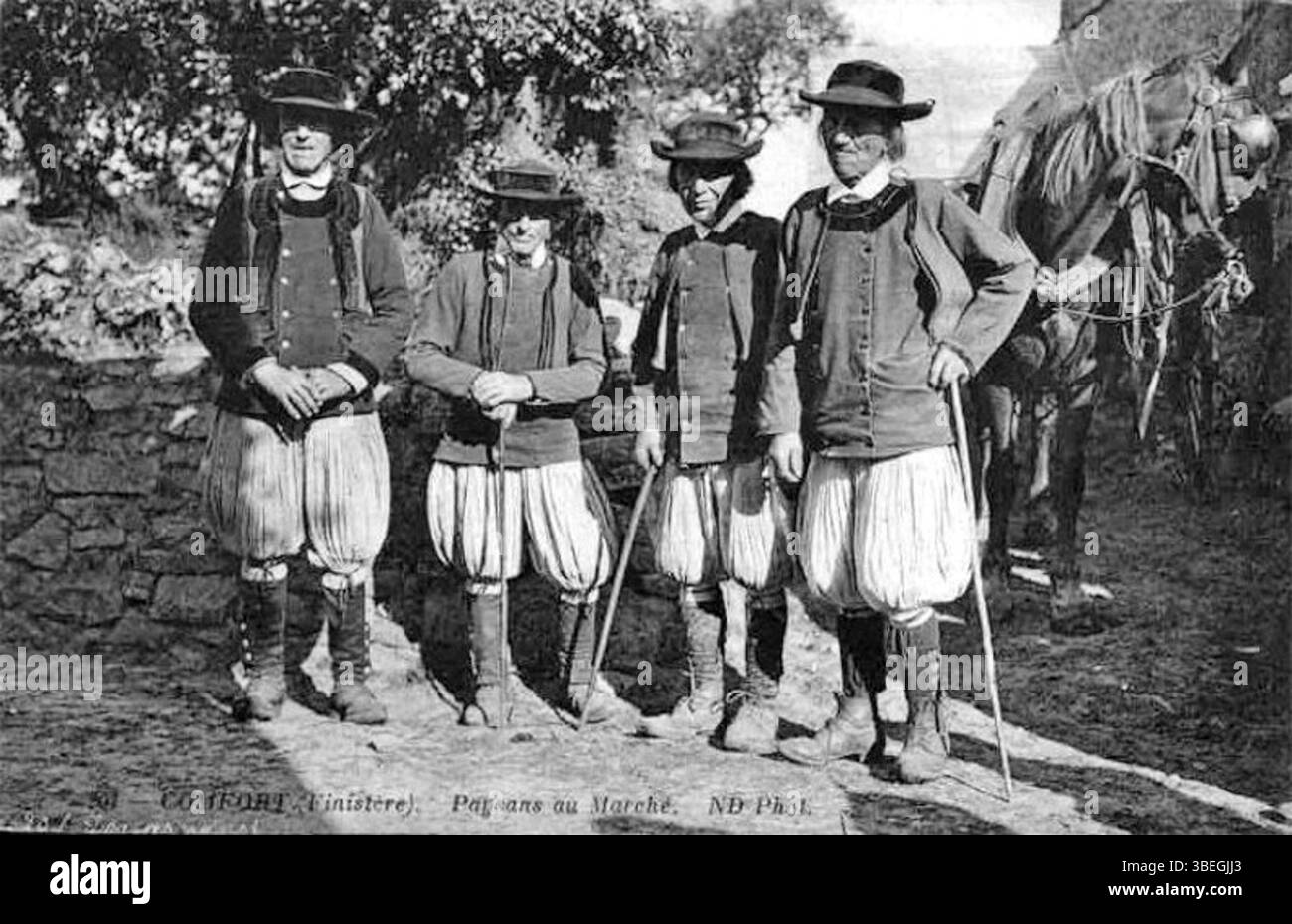 Cette photographie datant d'environ 1910 représente des paysans au marché de confort. Il capture la vie quotidienne de la France rurale au début du XXe siècle, mettant en valeur l’activité agricole traditionnelle et le commerce local. Banque D'Images Cette photographie datant d'environ 1910 représente des paysans au marché de confort. Il capture la vie quotidienne de la France rurale au début du XXe siècle, mettant en valeur l’activité agricole traditionnelle et le commerce local. Banque D'Images