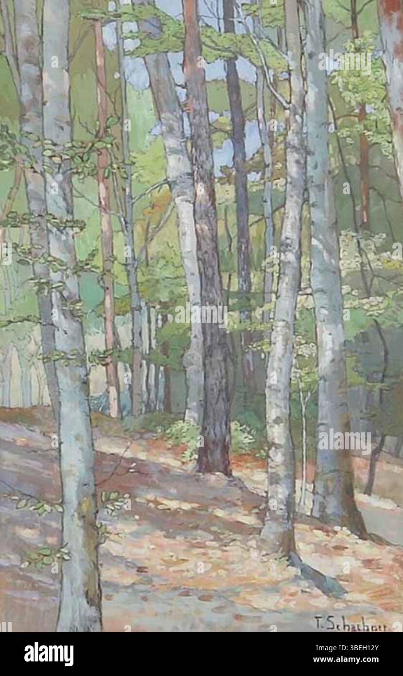Cette scène forestière de Thérèse Schachner, peinte avant 1950, met en valeur une zone boisée dense. L'artiste capture la profondeur et le mystère de la forêt avec une riche palette de verts et de bruns, en se concentrant sur les arbres et le feuillage. Banque D'Images