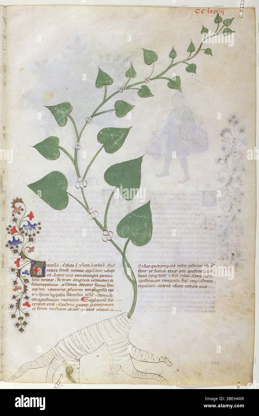 *Casanatense 459, f.283r* est une feuille manuscrite tirée d'une œuvre produite entre 1395 et 1400. Il comprend un script détaillé et des bordures illuminées typiques de l'époque, mettant en valeur l'habileté des scribes et des artistes médiévaux. Banque D'Images