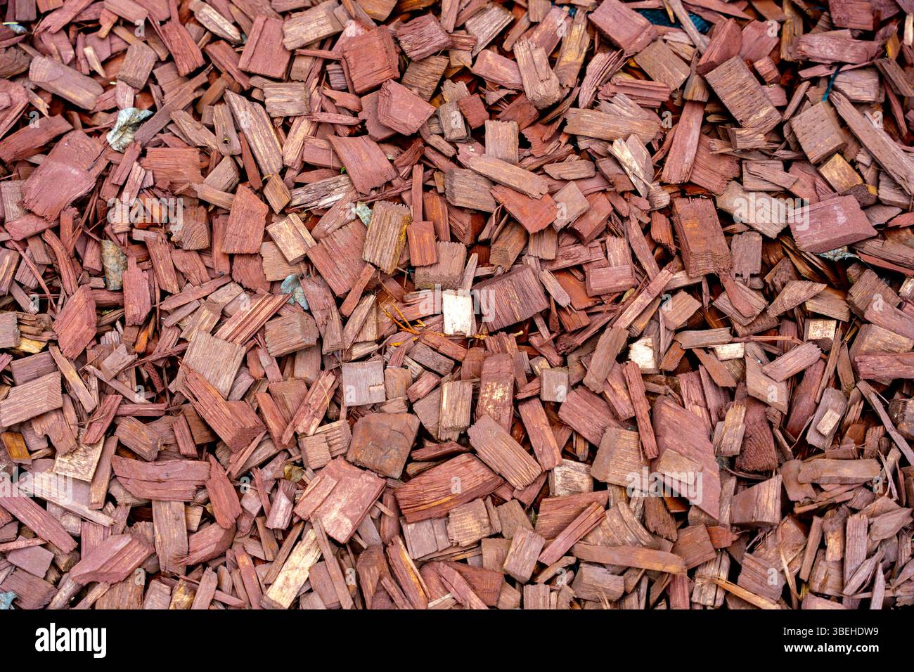 Paillis en bois rouge-brun pour l'aménagement paysager et le jardinage, texture naturelle pour la couverture du sol et la santé du sol Banque D'Images