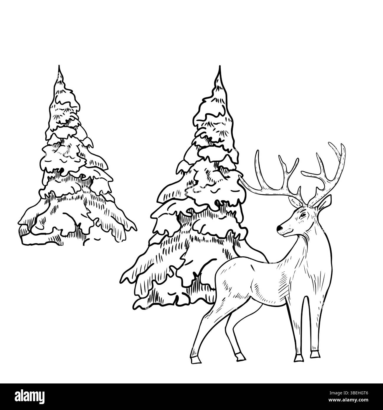 Cerf debout parmi les conifères enneigés illustration vectorielle de contour blanc noir dessinée à la main. Scène de forêt d'hiver minimaliste avec cerf Doe pour la saison Illustration de Vecteur