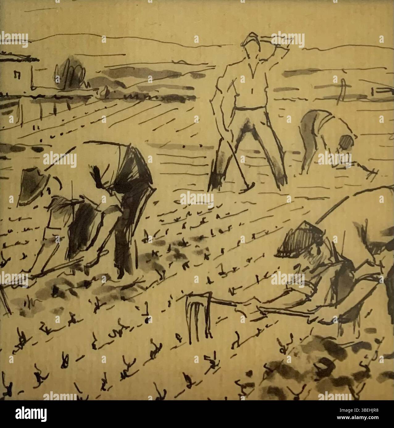 Ce dessin à l’encre, qui fait partie d’une série de Pierre Adolphe Valette (1876-1942), illustre le processus de vinification dans le Beaujolais, en France. L'ensemble de 14 dessins, créés sur papier japonais, a été présenté comme une exposition de lanterne à l'Université de Manchester en 1945. Les dessins ont ensuite été mis en vente par la Trent Art Gallery en 2023 avec un catalogue original français de 12 pièces. Banque D'Images