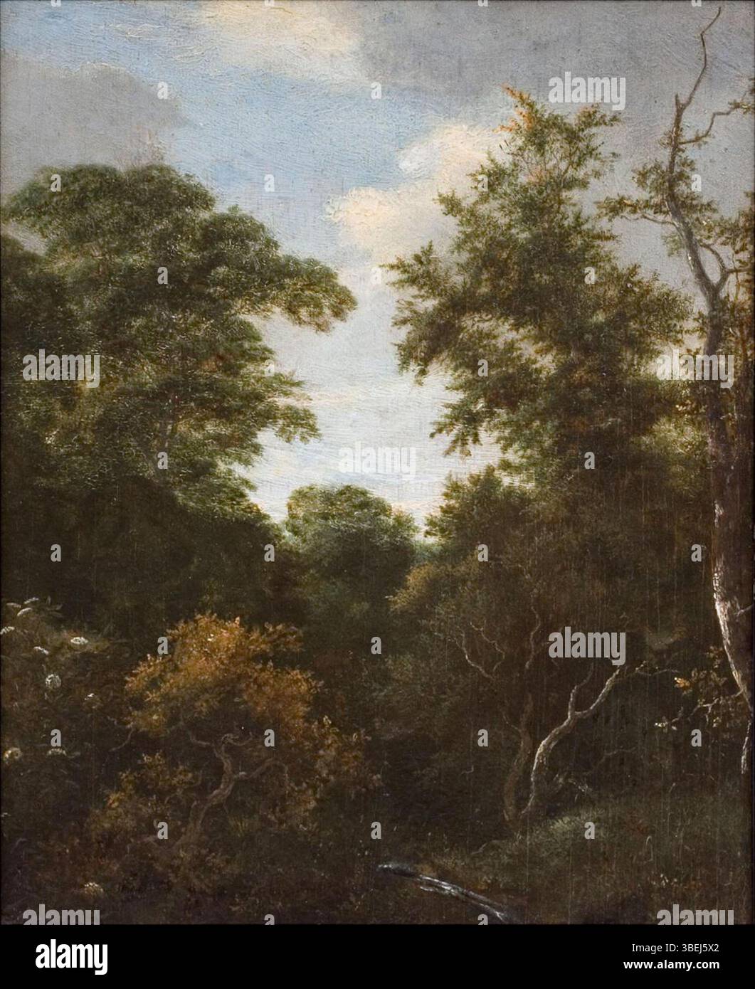 La peinture de Jacob Isaacksz van Ruisdael « Forest View with Blooming Elder » du XVIIe siècle capture la beauté naturelle d'une scène forestière, avec des fleurs de sureau. Il reflète l'amour néerlandais pour la peinture de paysage. Banque D'Images
