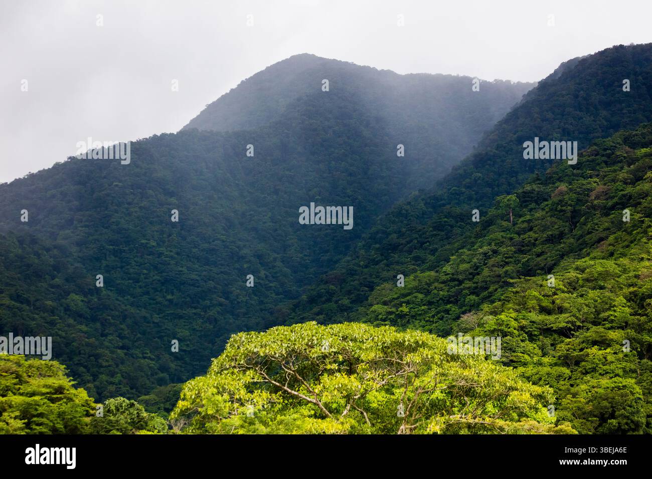 Approche des précipitations pendant la saison des pluies dans le parc national de Cerro Hoya, district de Mariato, province de Veraguas, République du Panama, Amérique centrale Banque D'Images