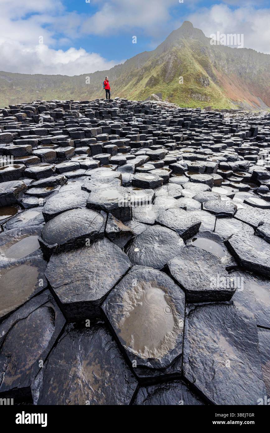 Giant's Causeway, Irlande Banque D'Images