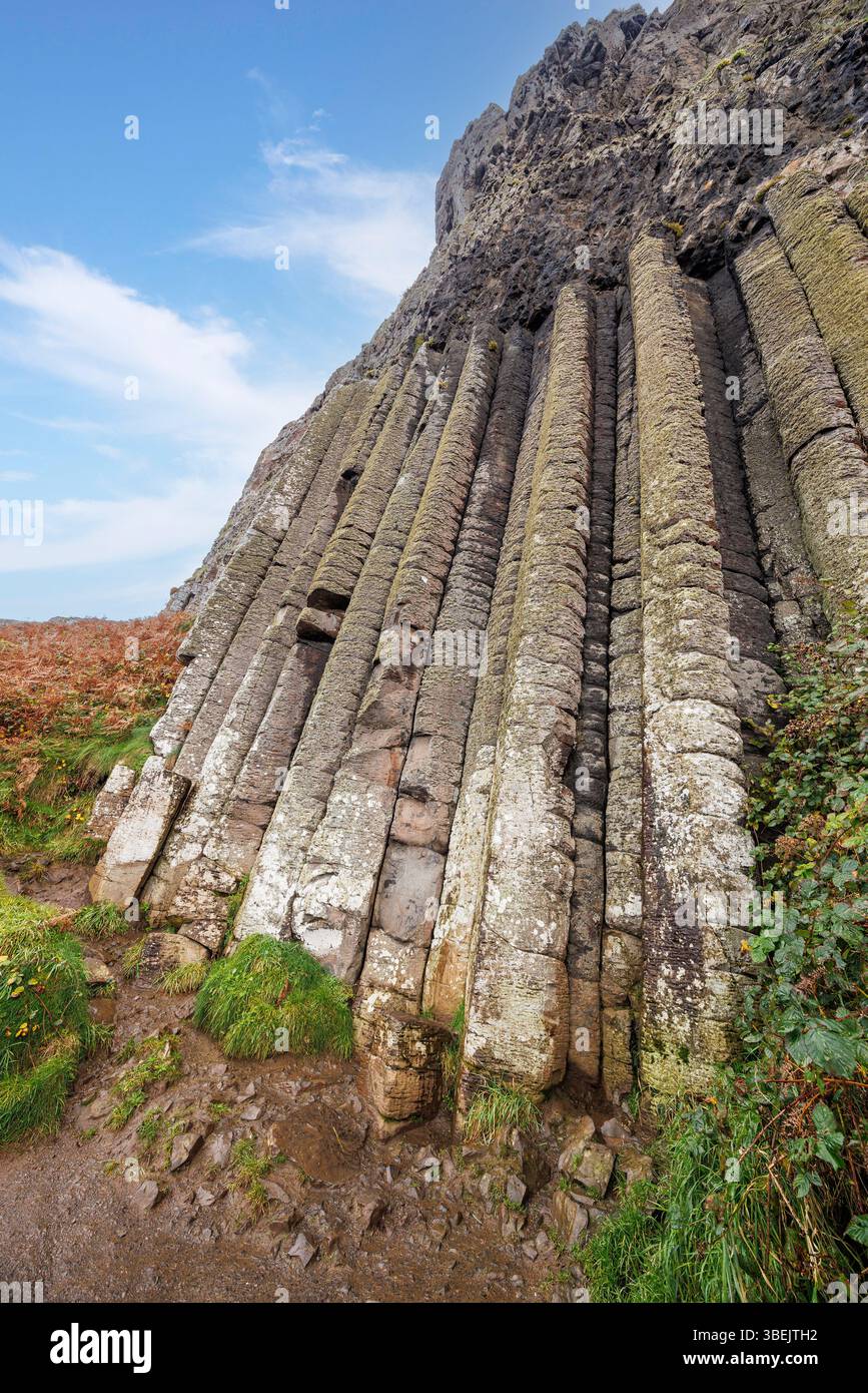L'orgue, chaussée des géants, Co. Antrim, Irlande Banque D'Images