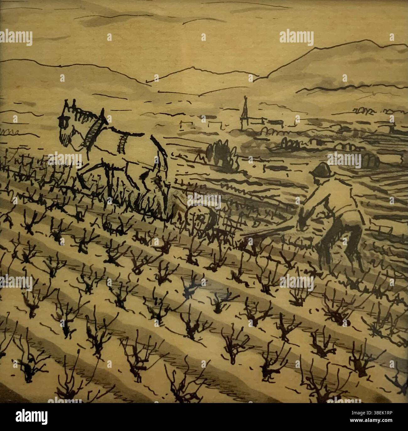 Ce dessin à l’encre de Pierre Adolphe Valette (1876-1942) représente le processus de vinification dans la région du Beaujolais. L'ensemble de 14 dessins, créés sur papier japonais, a été présenté à l'Université de Manchester en 1945 comme une lanterne. L'ensemble complet a ensuite été mis en vente par la Trent Art Gallery en 2023, avec un catalogue français comprenant 12 illustrations. Banque D'Images