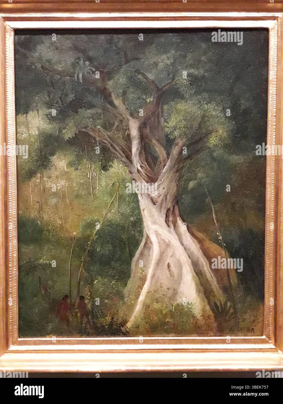 La peinture à l'huile « arbre géant dans la forêt tropicale brésilienne » de Johann Moritz Rugendas en 1830 capture un arbre géant dans la forêt tropicale du Brésil. La pièce reflète l'intérêt de Rugendas pour les paysages naturels, en particulier en Amérique du Sud au XIXe siècle. Banque D'Images