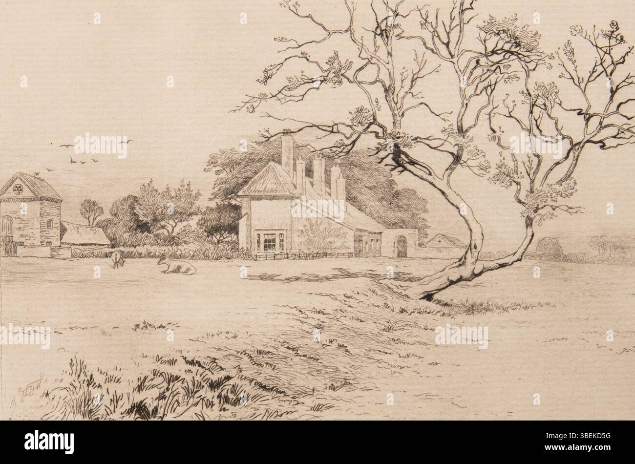 Cette gravure de Harold Broadfield Warren représente une ferme du 31 décembre 1896. L'image, mesurant 4 15/16 x 7 1/2 pouces, fait partie de la collection commémorative Morton et Marie Bradley au Musée d'art Eskenazi et reflète la vie rurale de l'époque. Banque D'Images Cette gravure de Harold Broadfield Warren représente une ferme du 31 décembre 1896. L'image, mesurant 4 15/16 x 7 1/2 pouces, fait partie de la collection commémorative Morton et Marie Bradley au Musée d'art Eskenazi et reflète la vie rurale de l'époque. Banque D'Images