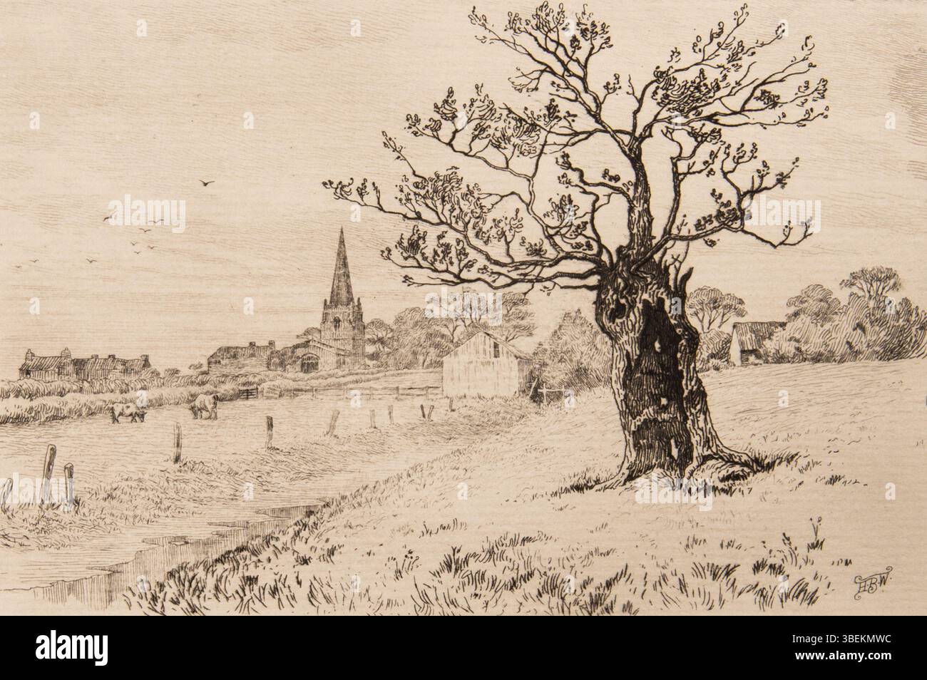 Cette gravure de Harold Broadfield Warren, du 31 décembre 1896, capture l'image d'un arbre creux, faisant partie de la collection Morton et Marie Bradley Memorial au Musée Eskenazi d'Art. L'impression mesure 4 7/8 x 7 3/8 pouces et reflète le monde naturel. Banque D'Images Cette gravure de Harold Broadfield Warren, du 31 décembre 1896, capture l'image d'un arbre creux, faisant partie de la collection Morton et Marie Bradley Memorial au Musée Eskenazi d'Art. L'impression mesure 4 7/8 x 7 3/8 pouces et reflète le monde naturel. Banque D'Images