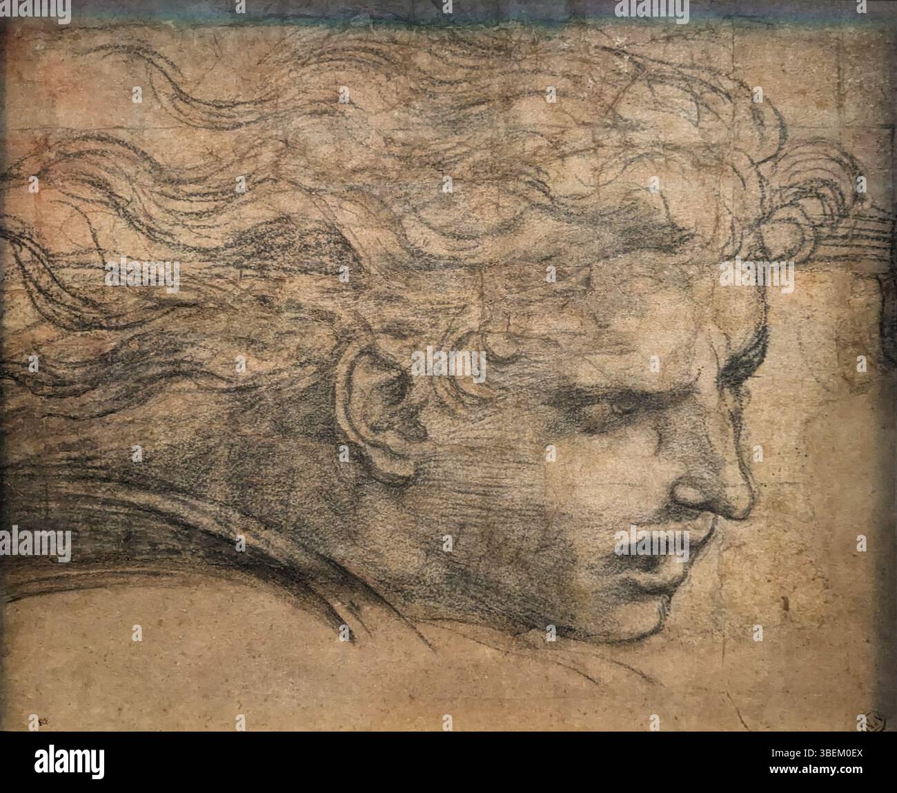Ce dessin de Raffaello Santi, aussi connu sous le nom de Raphaël, représente un jeune homme de profil, face aux trois quarts vers la droite. Le croquis détaillé met en valeur l'expertise de Raphael dans le rendu des traits humains avec précision et ombrage subtil. Banque D'Images