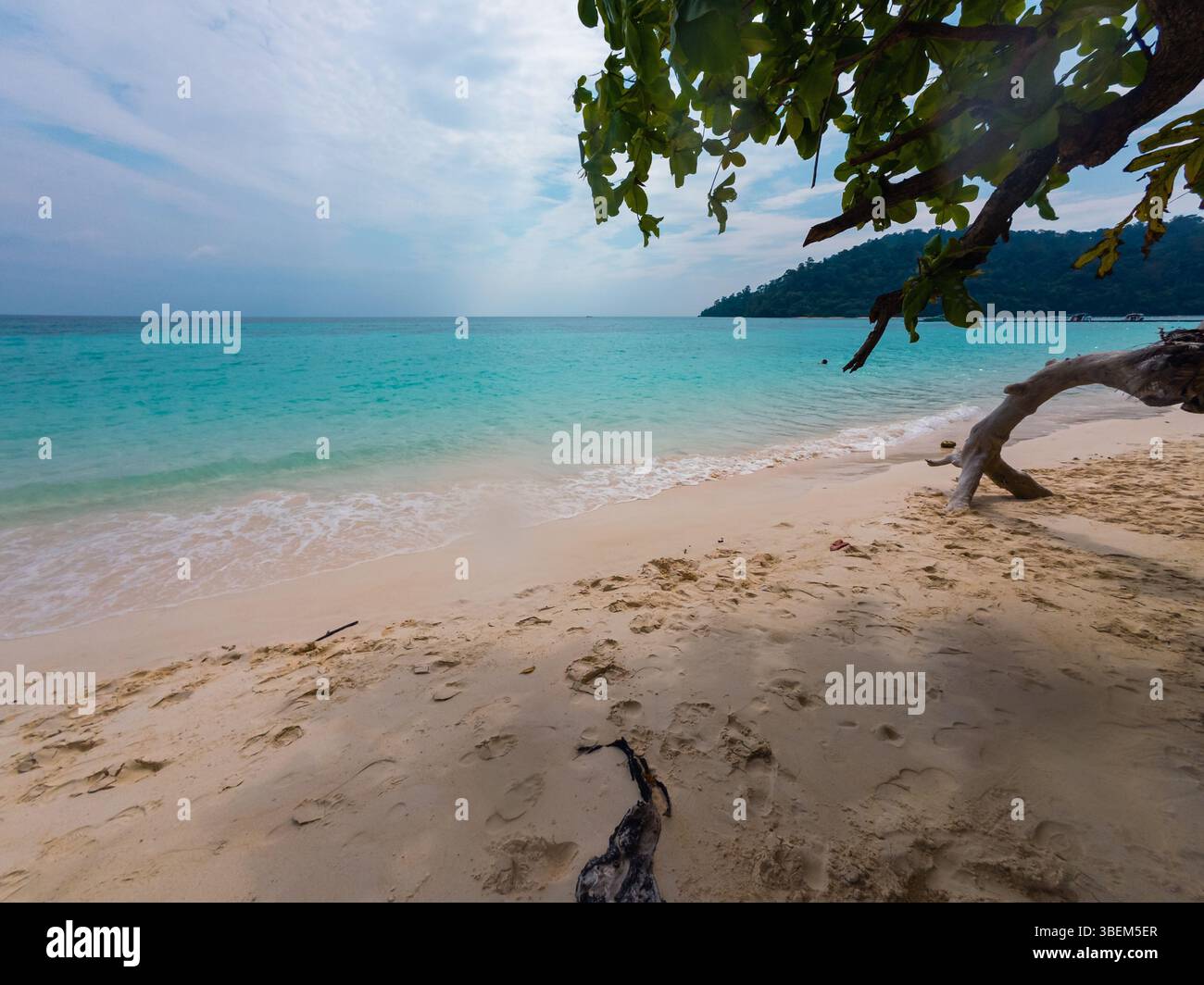 De douces vagues se battent contre le rivage sablonneux tandis que les eaux turquoises s'étendent vers l'horizon. Une végétation luxuriante encadre ce lieu côtier serein, accueillant Banque D'Images