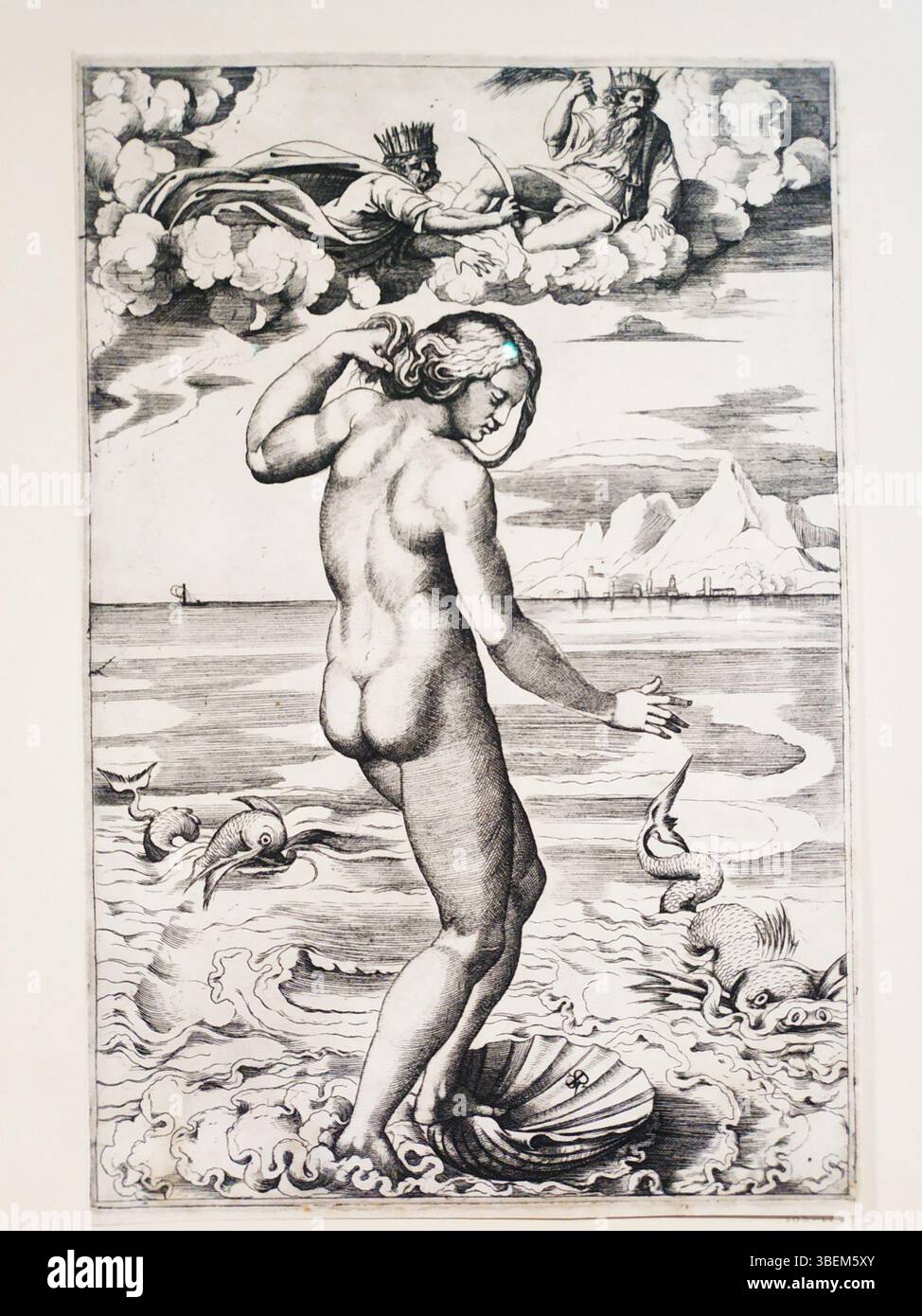 Cette gravure de Marco Dente, vers 1516, représente la naissance mythologique de Vénus, un sujet populaire à la Renaissance. La fine gravure de Dente capture les formes délicates et fluides et l’imagerie divine. Banque D'Images