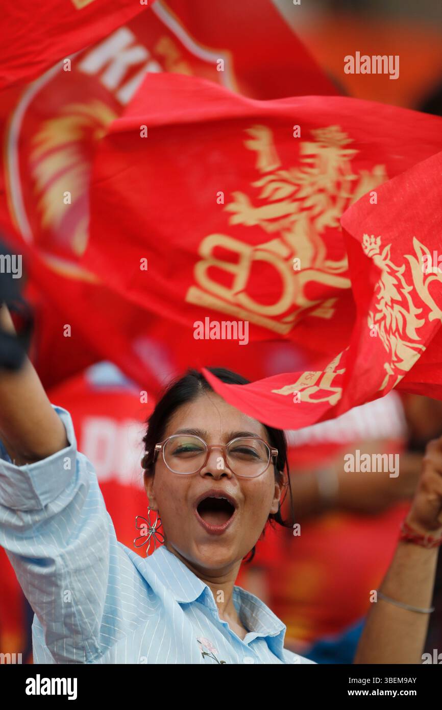 Chandigarh, Inde. 29 mai 2025. CHANDIGARH, INDE - MAI 29 : fans lors du match de qualification IPL 2025 entre Punjab Kings et Royal Challengers Bengaluru au New PCA Stadium le 29 mai 2025, à Chandigarh, en Inde. (Photo de Surjeet Yadav/MB Media) crédit : MB Media solutions/Alamy Live News Banque D'Images