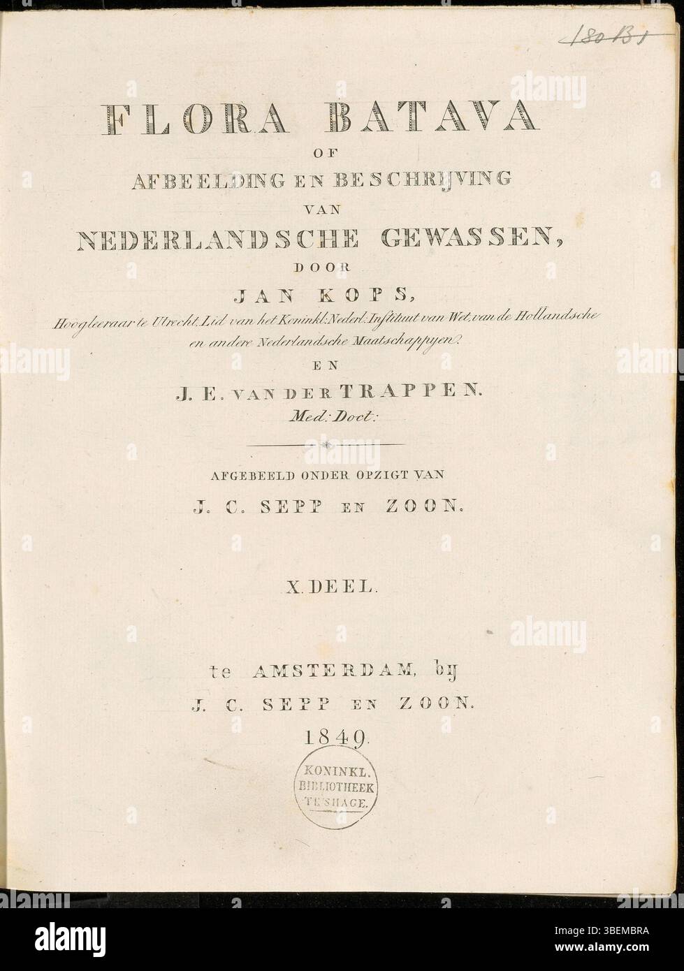 La page de titre de Flora Batava volume 10, édité par Jan Kops et publié en 1849, présente une suite de la série botanique sur la flore indigène néerlandaise. Banque D'Images
