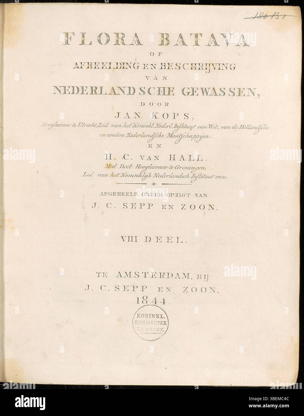 Cette page de titre tirée du volume 8 de Flora Batava, éditée par Jan Kops en 1844, contribue à la riche histoire botanique de la vie végétale néerlandaise. Banque D'Images