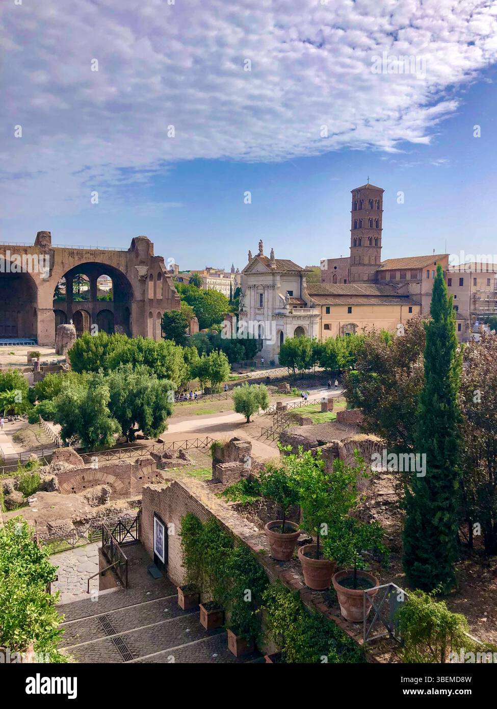 Le Forum romain de Rome, Italie Banque D'Images