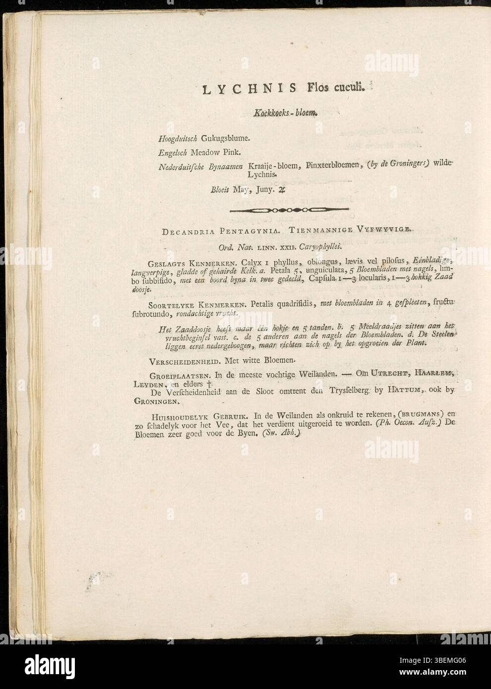 Lychnis flos cuculi, maintenant connu sous le nom de Silene flos-cuculi, est une plante à fleurs représentée dans Flora Batava de Jan Kops, vers 1800. La planche 0004 met en évidence les pétales délicats et la structure de la tige de la plante, contribuant ainsi à la connaissance botanique de l'époque. Le travail de Kops est important dans l’histoire botanique néerlandaise. Banque D'Images