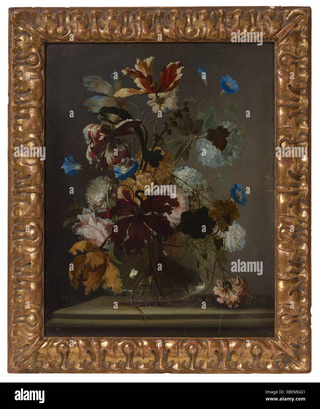 Peinture florale de nature morte attribuée à Carel de Vogelaer, représentant des tulipes, hortensias, roses et autres fleurs disposées dans un vase. Banque D'Images