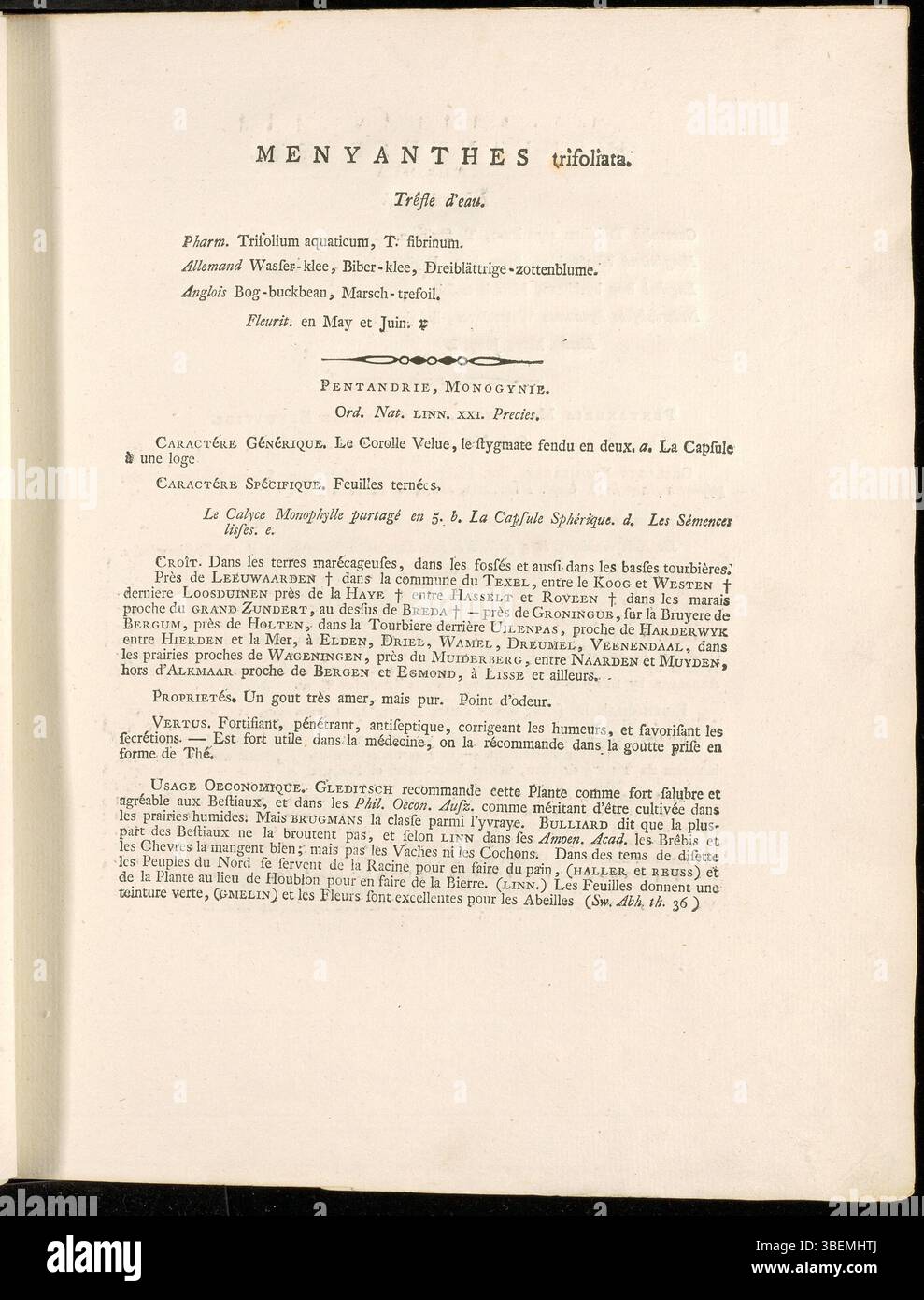 Description botanique française de Menyanthes trifoliata (Bogbean), écrite par Jan Kops en 1800, incluant la planche d'illustration 0002. Banque D'Images