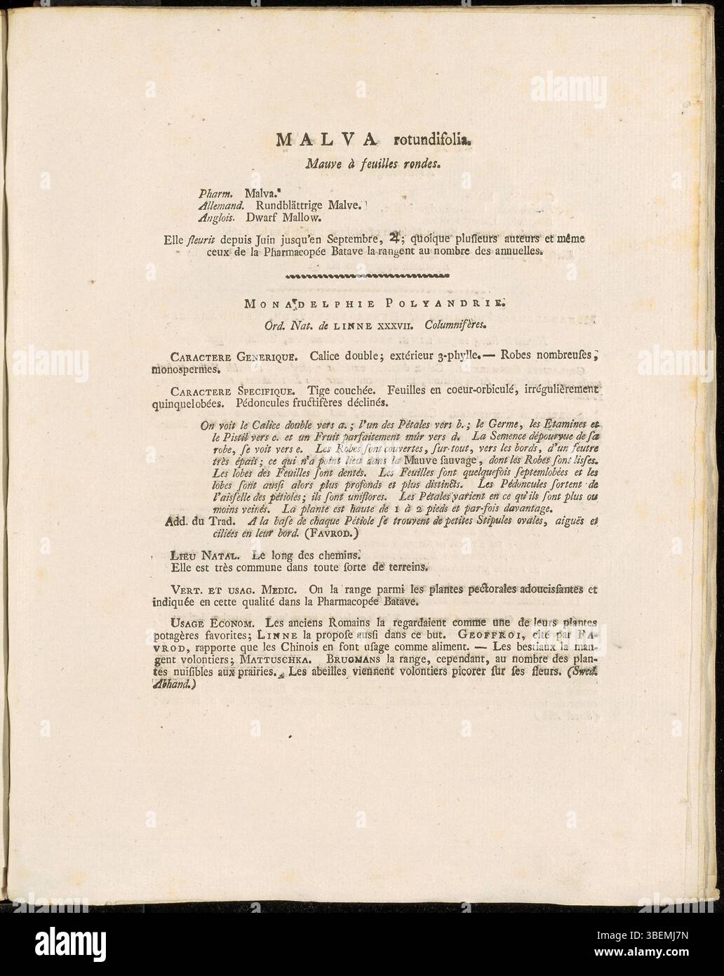 Cette traduction française de 1807 de *Flora Batava* par Jan Kops représente *Malva rotundifolia*, maintenant *Malva negecta*, mettant en vedette les traits clés de la plante, tels que ses feuilles rondes et ses fleurs délicates. Banque D'Images
